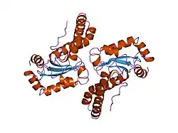 1msd: COMPARISON OF THE CRYSTAL STRUCTURES OF GENETICALLY ENGINEERED HUMAN MANGANESE SUPEROXIDE DISMUTASE AND MANGANESE SUPEROXIDE DISMUTASE FROM THERMUS THERMOPHILUS. DIFFERENCES IN DIMER-DIMER INTERACTIONS.