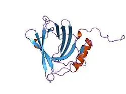 1ngl: HUMAN NEUTROPHIL GELATINASE-ASSOCIATED LIPOCALIN (HNGAL), REGULARISED AVERAGE NMR STRUCTURE