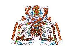 1ni4: HUMAN PYRUVATE DEHYDROGENASE