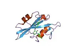 1o4a: CRYSTAL STRUCTURE OF SH2 IN COMPLEX WITH RU82197.