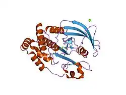 1oet: OXIDATION STATE OF PROTEIN TYROSINE PHOSPHATASE 1B