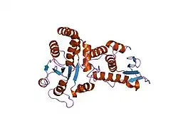1ohc: STRUCTURE OF THE PROLINE DIRECTED PHOSPHATASE CDC14