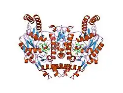 1om5: STRUCTURE OF RAT NEURONAL NOS HEME DOMAIN WITH 3-BROMO-7-NITROINDAZOLE BOUND