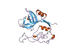 1pbh: CRYSTAL STRUCTURE OF HUMAN RECOMBINANT PROCATHEPSIN B AT 3.2 ANGSTROM RESOLUTION