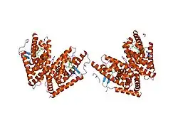 1pqc: HUMAN LXR BETA HORMONE RECEPTOR COMPLEXED WITH T0901317