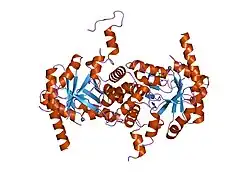 1pv8: Crystal structure of a low activity F12L mutant of human phorphobilinogen synthase