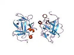 1q04: Crystal structure of FGF-1, S50E/V51N