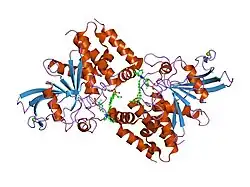 1q6t: THE STRUCTURE OF PHOSPHOTYROSINE PHOSPHATASE 1B IN COMPLEX WITH COMPOUND 11