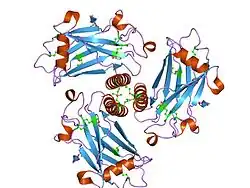1qsc: CRYSTAL STRUCTURE OF THE TRAF DOMAIN OF TRAF2 IN A COMPLEX WITH A PEPTIDE FROM THE CD40 RECEPTOR