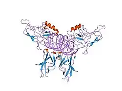 1ram: A NOVEL DNA RECOGNITION MODE BY NF-KB P65 HOMODIMER