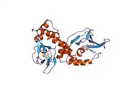 1rgs: REGULATORY SUBUNIT OF CAMP DEPENDENT PROTEIN KINASE
