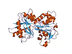1ryo: Human serum transferrin, N-lobe bound with oxalate
