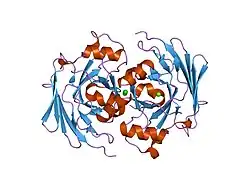 1saw: X-ray structure of homo sapiens protein FLJ36880