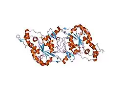 1t8t: Crystal Structure of human 3-O-Sulfotransferase-3 with bound PAP