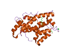 1tfj: Crystal structure of Bovine Glycolipid transfer protein in complex with a fatty acid