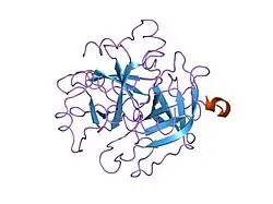 1thr: STRUCTURES OF THROMBIN COMPLEXES WITH A DESIGNED AND A NATURAL EXOSITE INHIBITOR