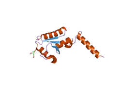 1u6t: Crystal structure of the human SH3 binding glutamic-rich protein like