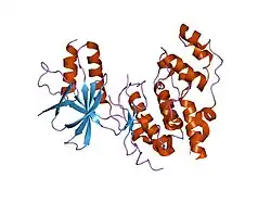 1ukh: Structural basis for the selective inhibition of JNK1 by the scaffolding protein JIP1 and SP600125