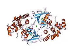 1uwh: THE COMPLEX OF WILD TYPE B-RAF AND BAY439006