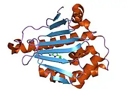 1uyk: HUMAN HSP90-ALPHA WITH 8-BENZO[1,3]DIOXOL-,5-YLMETHYL-9-BUT YL-2-FLUORO-9H-PURIN-6-YLAMINE