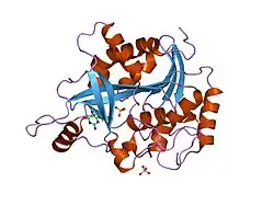 1v45: Crystal structure of human PNP complexed with 3-deoxyguanosine