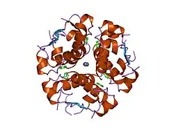 1wav: CRYSTAL STRUCTURE OF FORM B MONOCLINIC CRYSTAL OF INSULIN