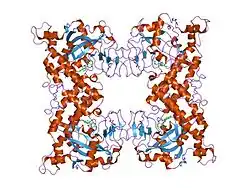 1wok: Crystal structure of catalytic domain of human poly(ADP-ribose) polymerase complexed with a quinoxaline-type inhibitor