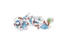 1wv7: Human Factor Viia-Tissue Factor Complexed with ethylsulfonamide-D-5-propoxy-Trp-Gln-p-aminobenzamidine