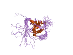 1wyo: Solution structure of the CH domain of human microtubule-associated protein RP/EB family member 3