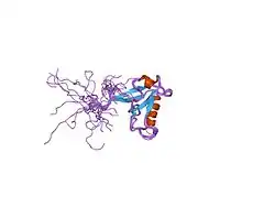 1x5r: Solution structure of the fourth PDZ domain of Glutamate receptor interacting protein 2