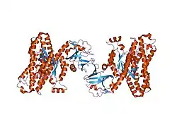 1xcg: Crystal Structure of Human RhoA in complex with DH/PH fragment of PDZRHOGEF