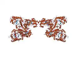 1xdm: Structure of human aldolase B associated with hereditary fructose intolerance (A149P), at 291K