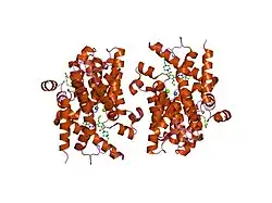 1xot: Catalytic Domain Of Human Phosphodiesterase 4B In Complex With Vardenafil