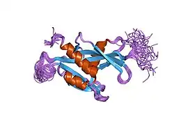 1xsb: Structure of the nudix enzyme AP4A hydrolase from homo sapiens (E63A mutant) in complex with ATP. No ATP restraints included