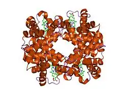 1xzu: T-to-THigh Quaternary Transitions in Human Hemoglobin: alphaD94G deoxy low-salt