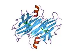 1y1d: Crystal structure of transthyretin in complex with iododiflunisal