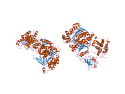 1y8q: SUMO E1 ACTIVATING ENZYME SAE1-SAE2-MG-ATP COMPLEX