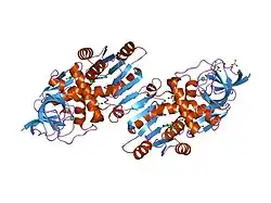 1yb5: Crystal structure of human Zeta-Crystallin with bound NADP