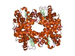 1yg5: T-To-T(High) quaternary transitions in human hemoglobin: betaW37H OXY (2MM IHP, 20% PEG) (10 test sets)