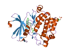1yhs: Crystal structure of Pim-1 bound to staurosporine