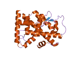 1yje: Crystal structure of the rNGFI-B ligand-binding domain