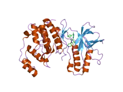 1ywr: Crystal structure analysis of inactive p38 kinase domain in complex with a monocyclic pyrazolone inhibitor