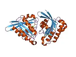 1z0d: GDP-Bound Rab5c GTPase