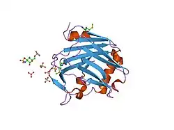 1za4: Crystal Structure of the Thrombospondin-1 N-terminal Domain in Complex with Arixtra