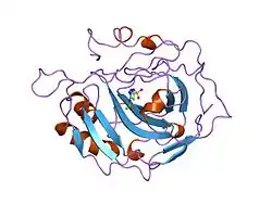 1zsb: CARBONIC ANHYDRASE II MUTANT E117Q, TRANSITION STATE ANALOGUE ACETAZOLAMIDE