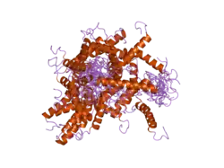 1zza: Solution NMR Structure of the Membrane Protein Stannin