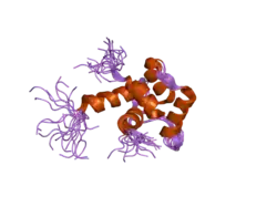 2a4j: Solution structure of the C-terminal domain (T94-Y172) of the human centrin 2 in complex with a 17 residues peptide (P1-XPC) from xeroderma pigmentosum group C protein