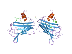 2ag9: Crystal Structure of the Y137S mutant of GM2-Activator Protein