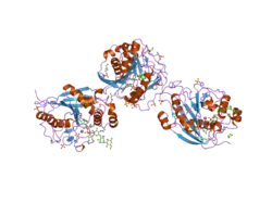 2agd: Crystal Structure of Human M340H-Beta-1,4-Galactosyltransferase-I(M340H-B4Gal-T1) in Complex with GlcNAc-beta1,4-Man-alpha1,3-Man-beta-OR