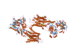 2agv: Crystal structure of the SR CA2+-ATPASE with BHQ and TG